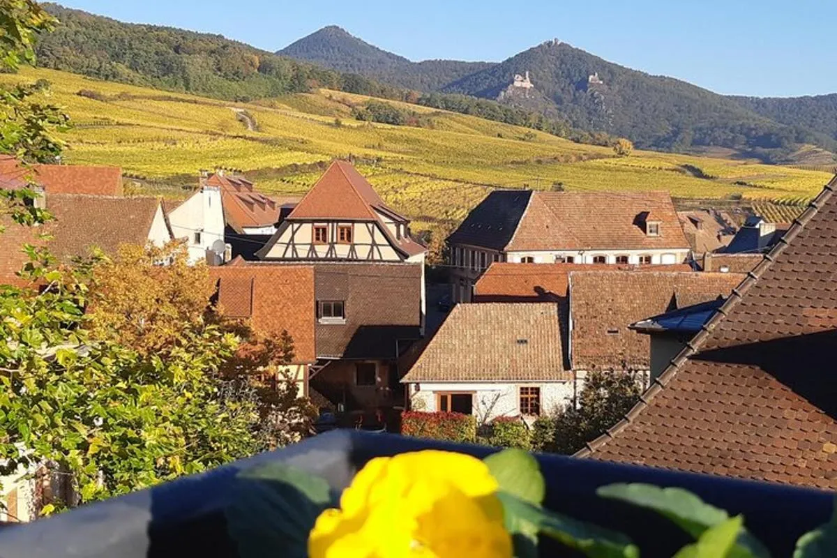 Tour ICONICS : 1/2 Journée sur la Route des vins, visite de 2 Villages+Dégust. – photo 5