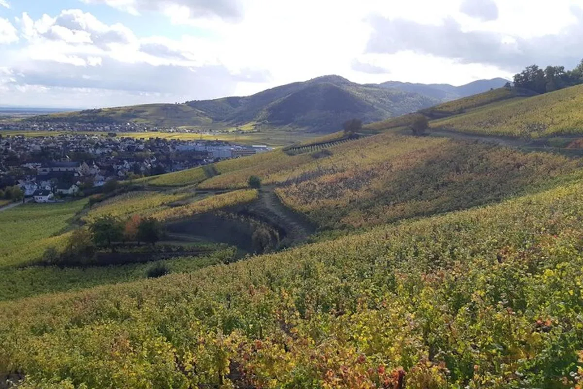Tour ICONICS : 1/2 Journée sur la Route des vins, visite de 2 Villages+Dégust. – photo 7