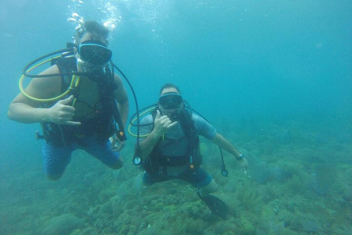 two people in scuba gear swimming in the water