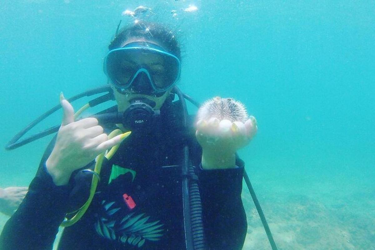 a woman in a diving suit holding a ball in the water