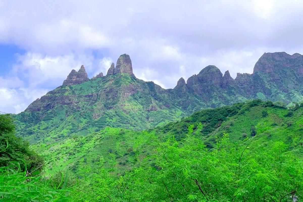 a group of mountains with trees in front of them