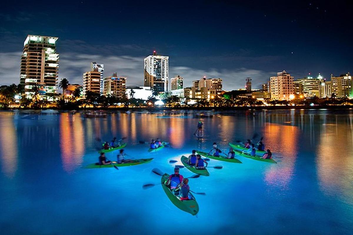 a group of people on kayaks in the water at night