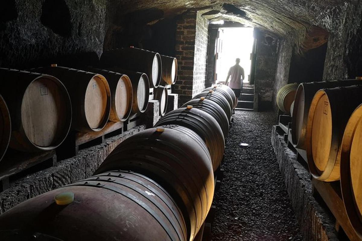 a man standing in a room with rows of barrels