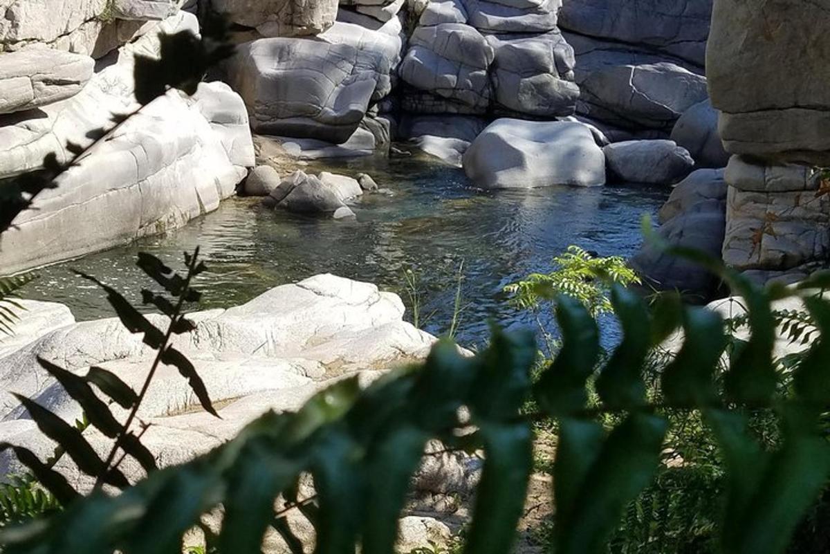 a stream of water with rocks in a zoo