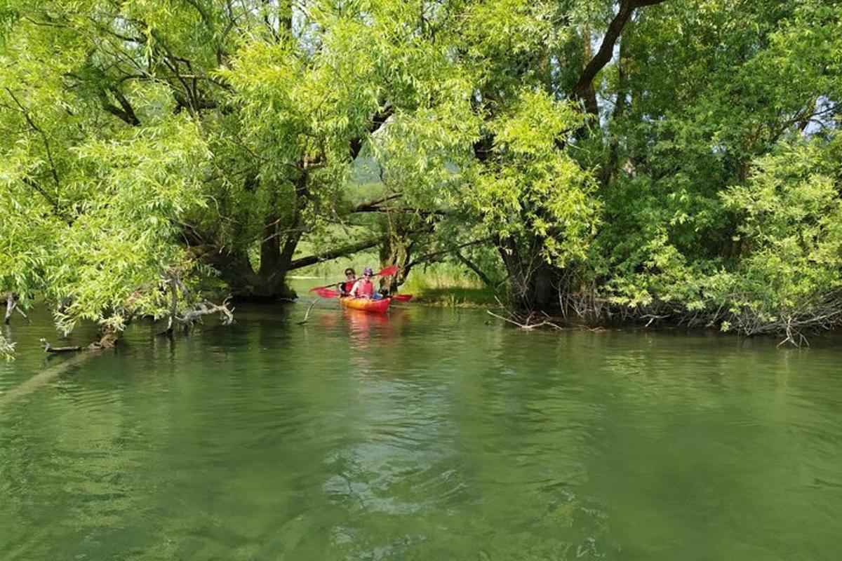 un grupo de personas en un kayak en un río