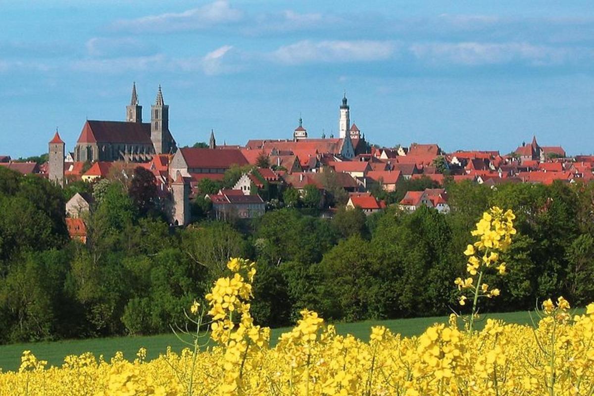 una città con un paese sullo sfondo con fiori gialli