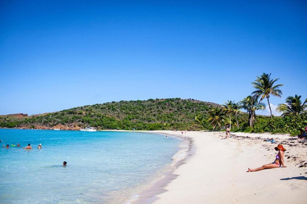 a group of people in the water on a beach