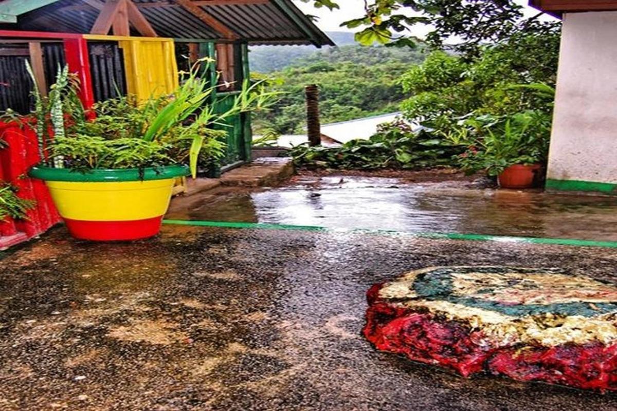 um quintal inundado com uma planta em vaso e uma casa