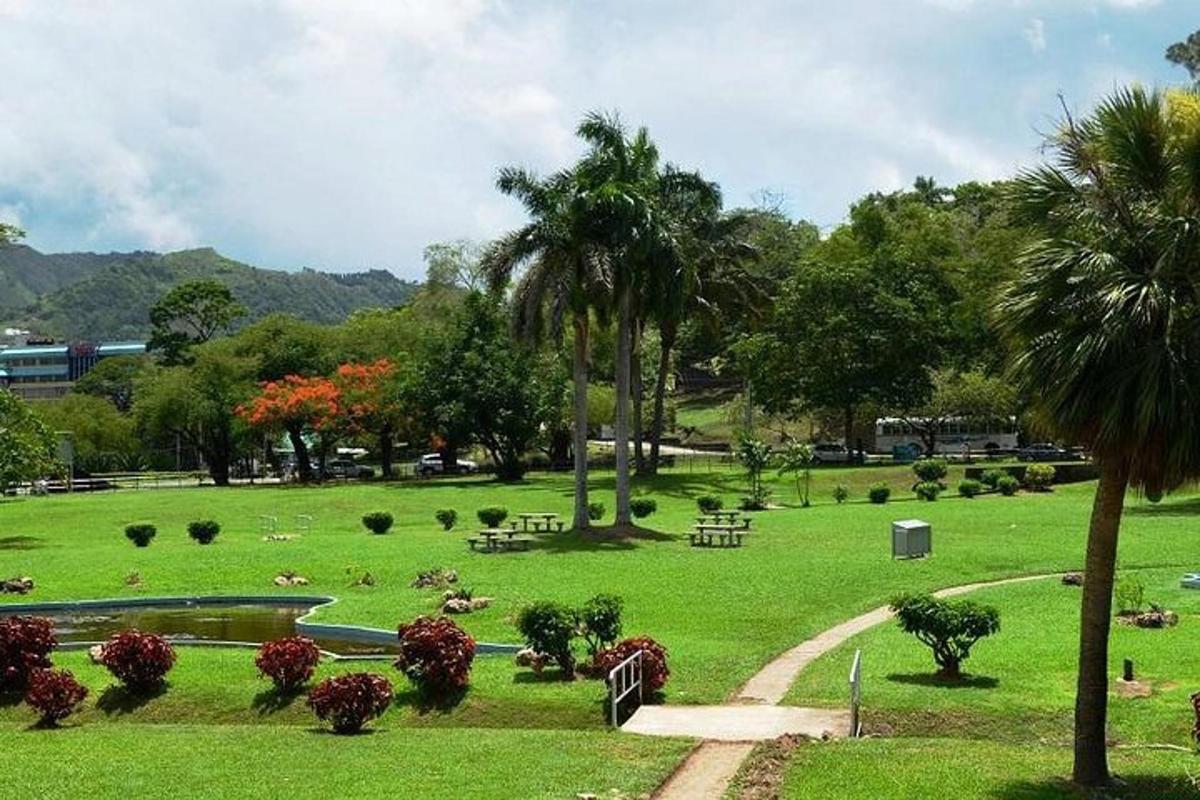 a park with a lot of animals in the grass