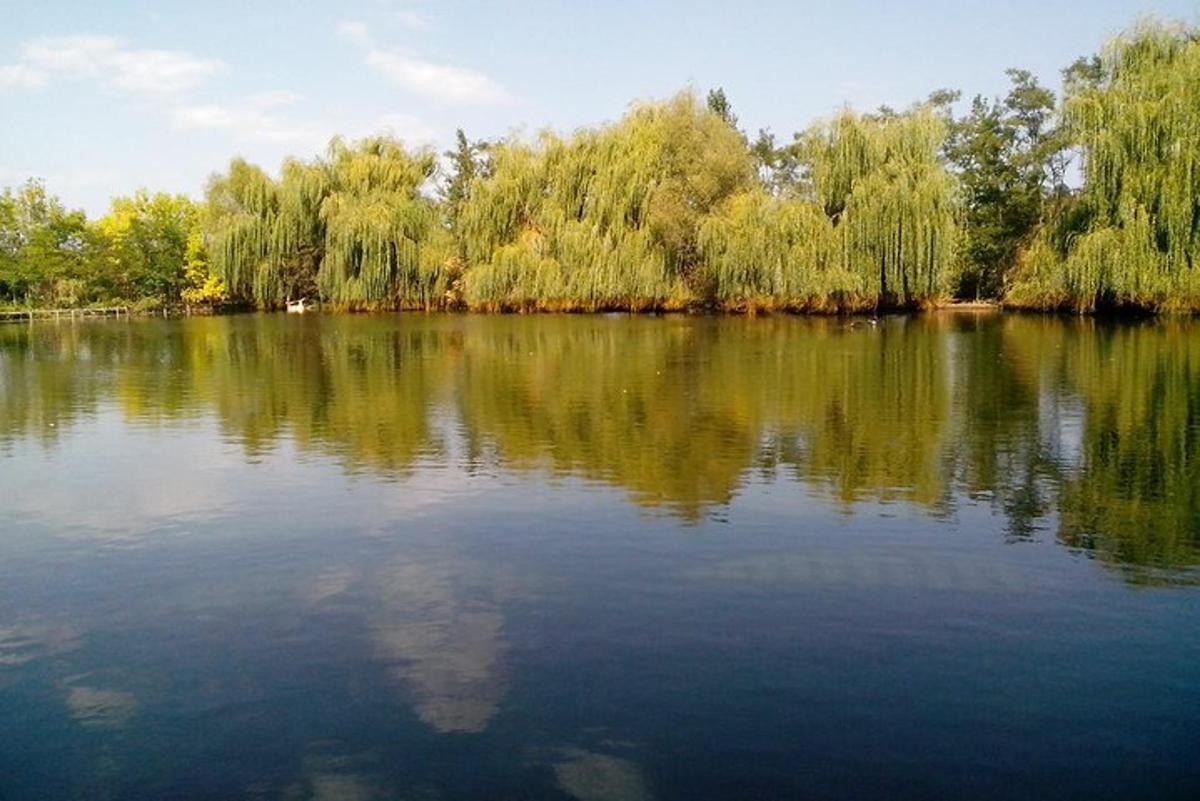 a large body of water with trees in the background