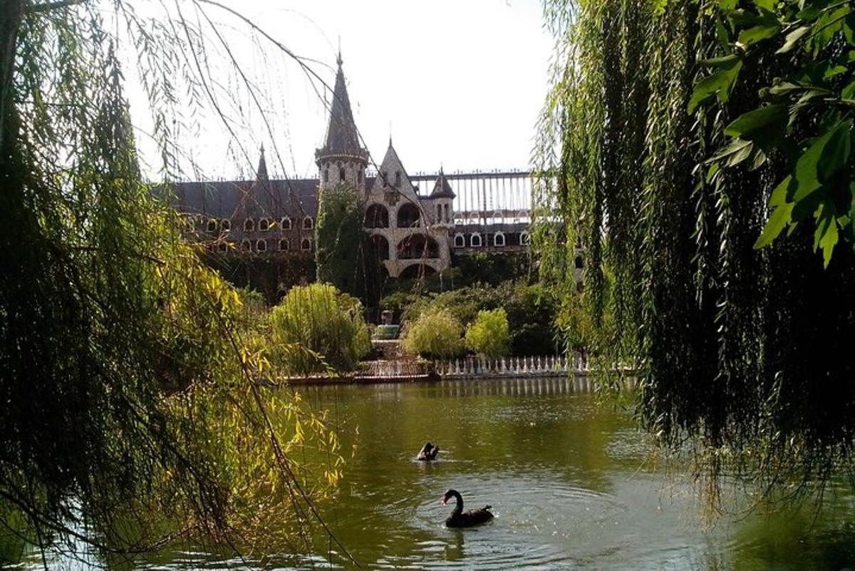 two ducks swimming in a pond in front of a building
