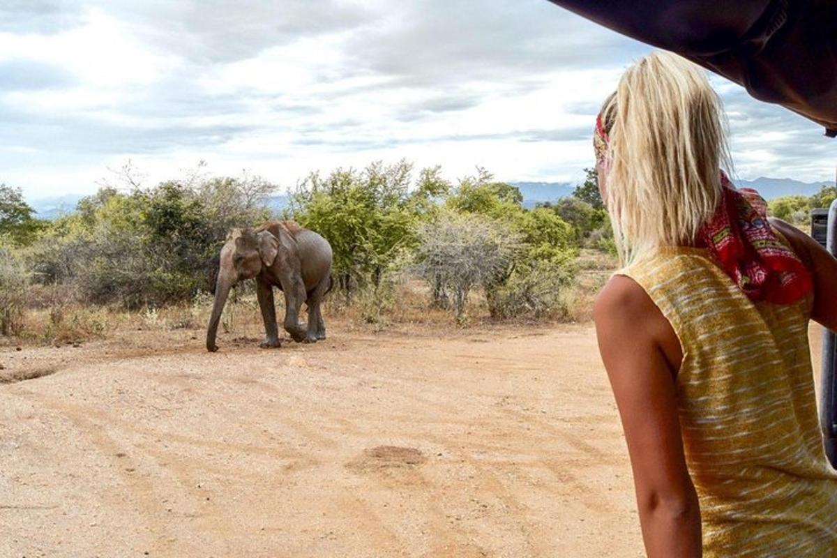 een vrouw kijkt naar een olifant op een onverharde weg