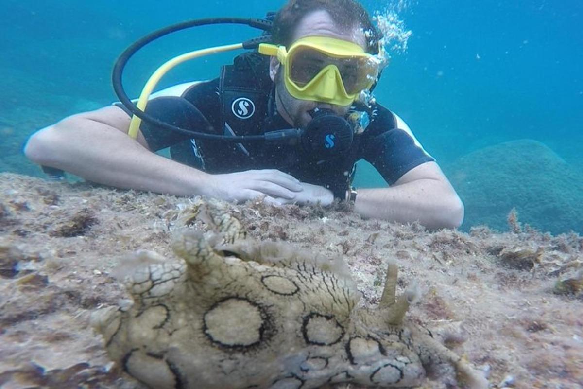 una donna in muta da sub sdraiata a terra nell'acqua