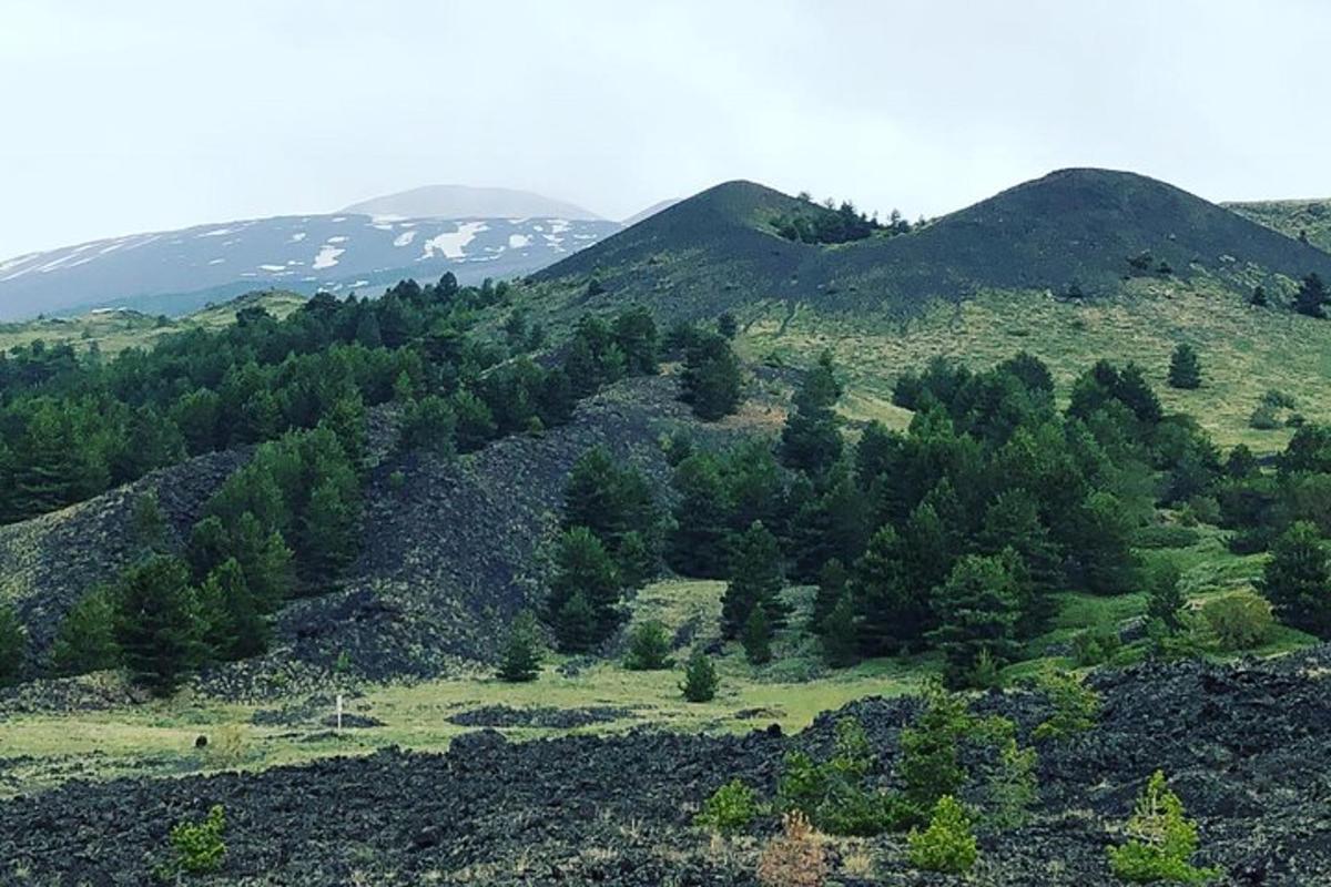 a view of a hill with trees and mountains