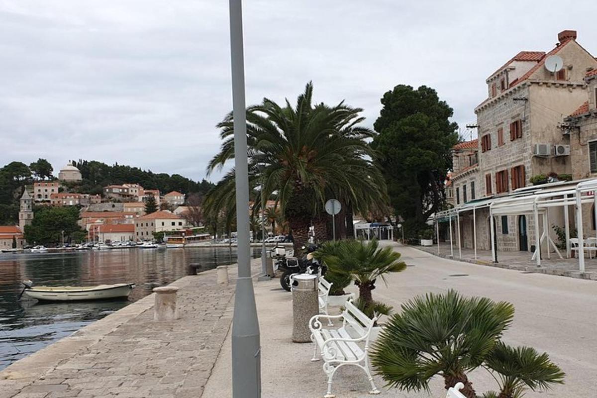 ένας δρόμος με καρέκλες και φοίνικες δίπλα σε ένα ποτάμι