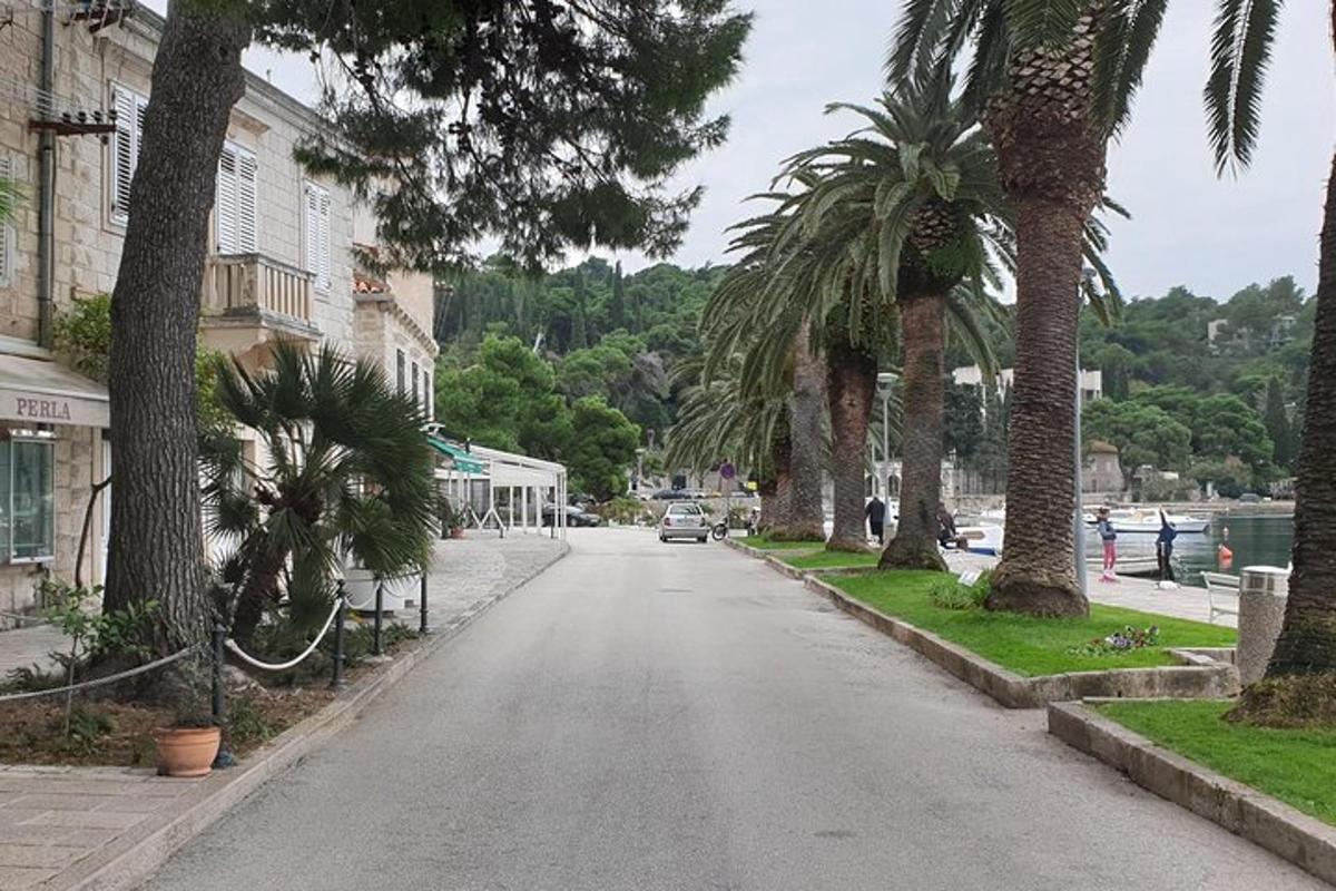 ένα αυτοκίνητο που οδηγεί σε έναν δρόμο με φοίνικες