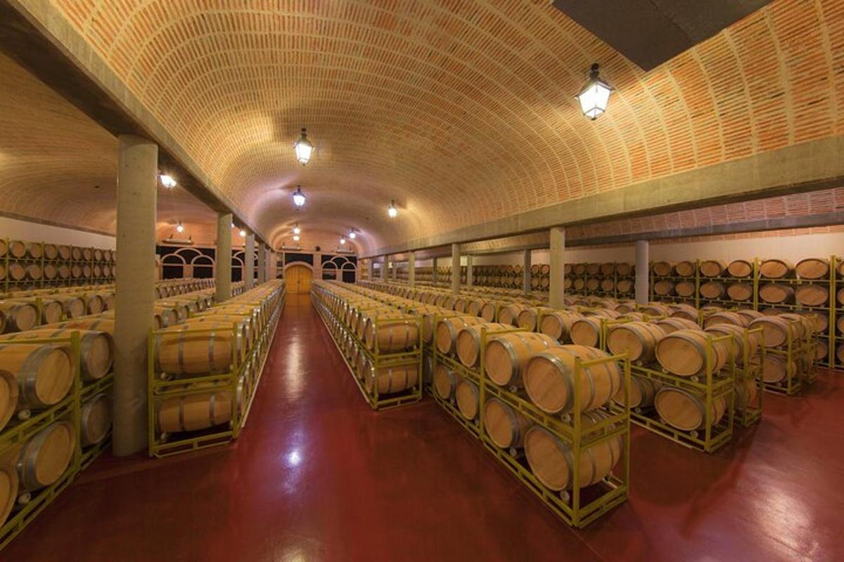 a large room with rows of wine barrels