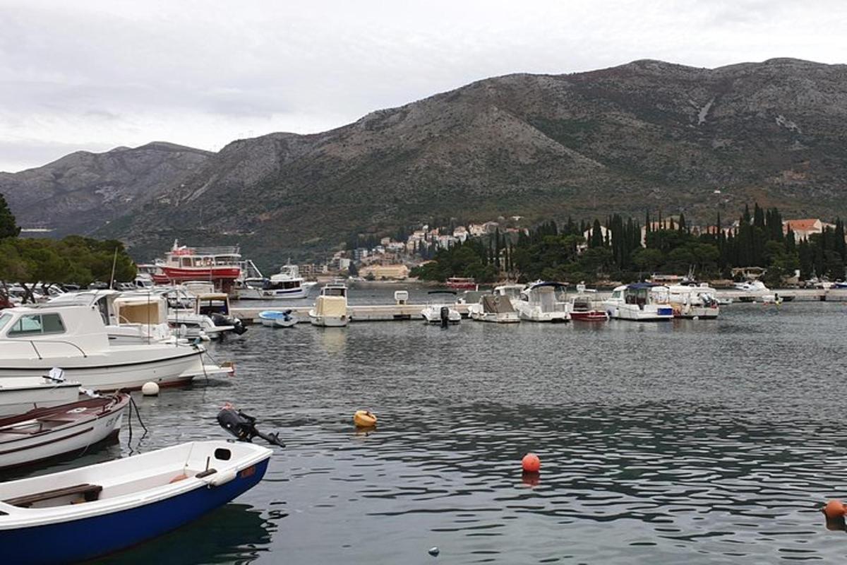 Μια ομάδα σκαφών αγκυροβολημένη σε ένα λιμάνι με βουνά