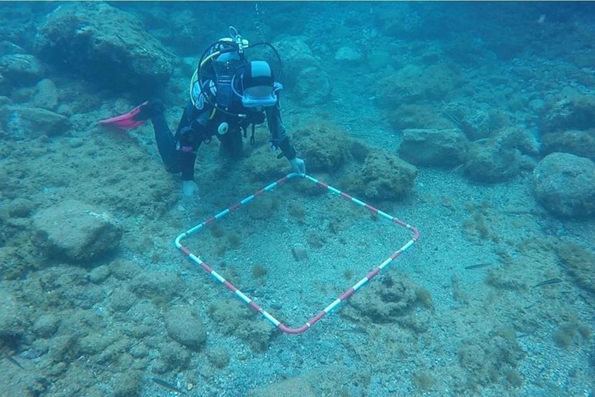 potápěč v oceánu pozorující korálový útes