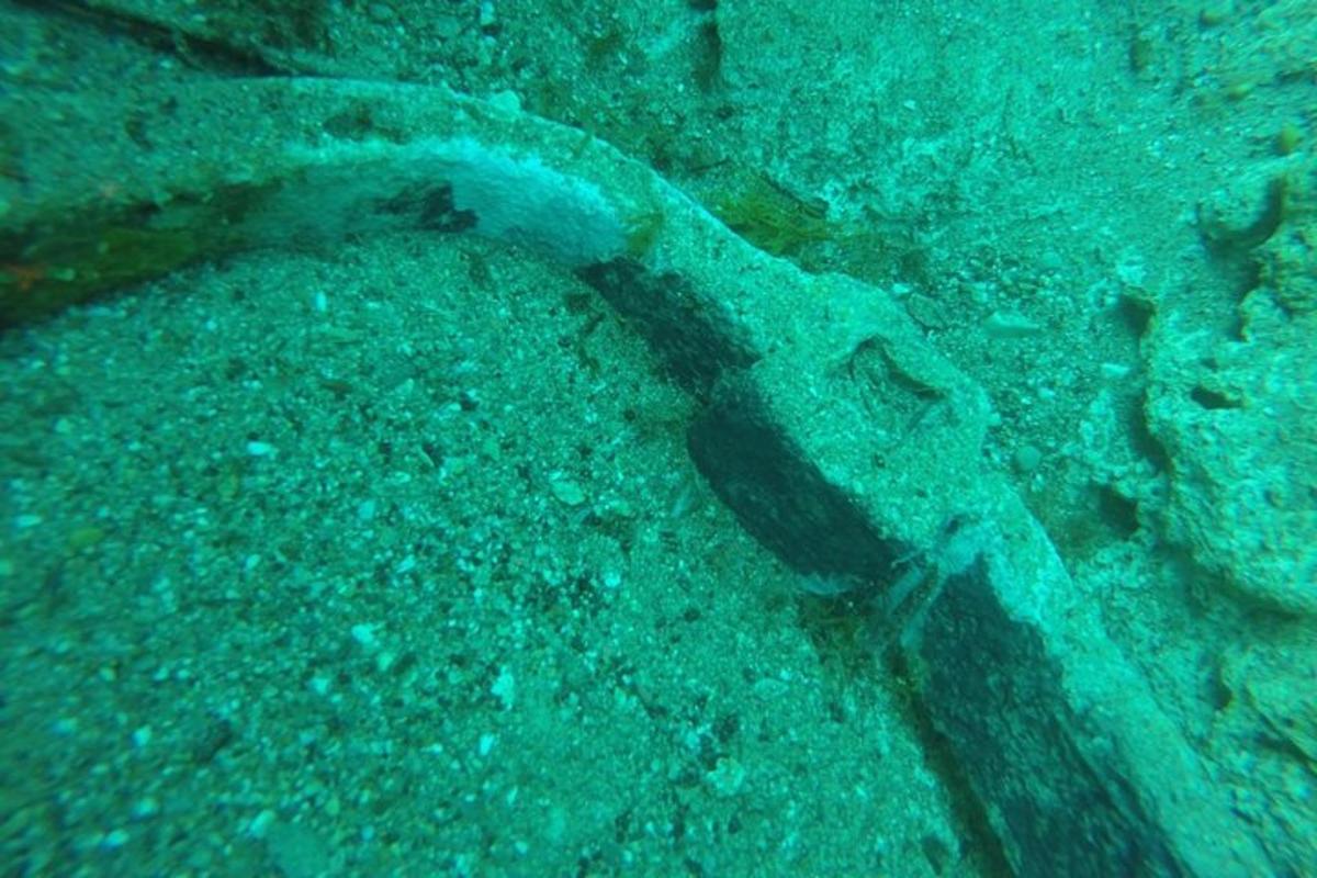 Aopus sedí na dně oceánu
