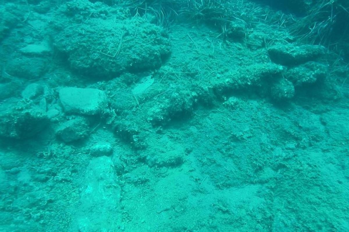 pohled na korálový útes v oceánu