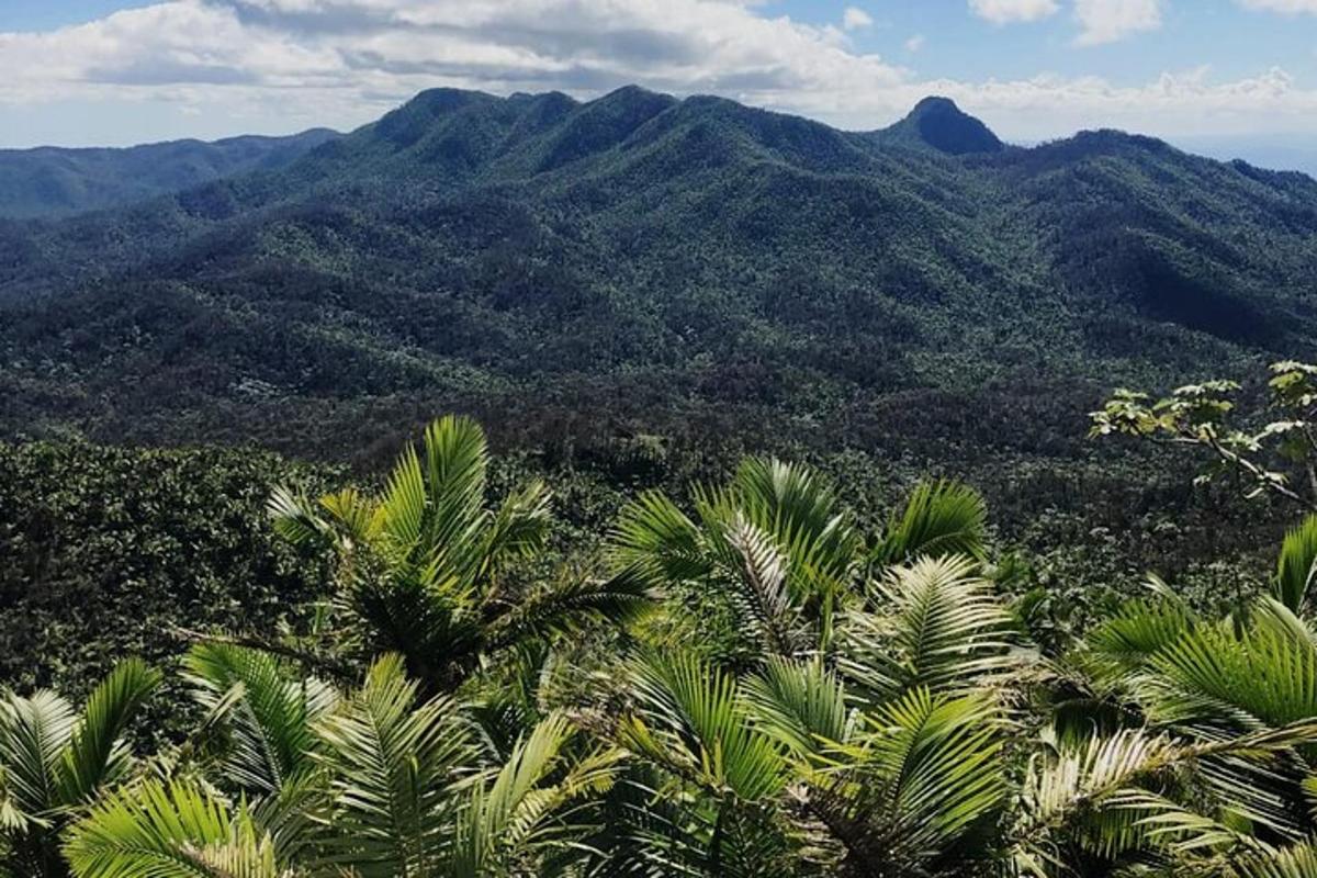 Una vista de una montaña con palmeras y montañas.