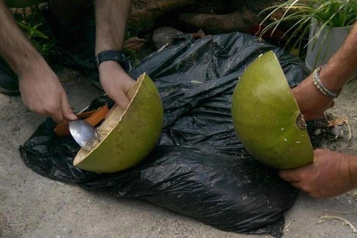 a person cutting up a green apple on top of a bag