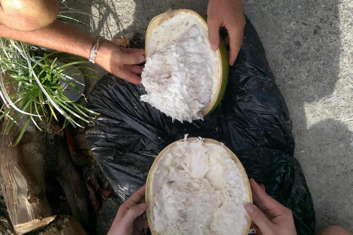 egy személy, aki egy vekni kenyeret tart egy műanyag zacskóban