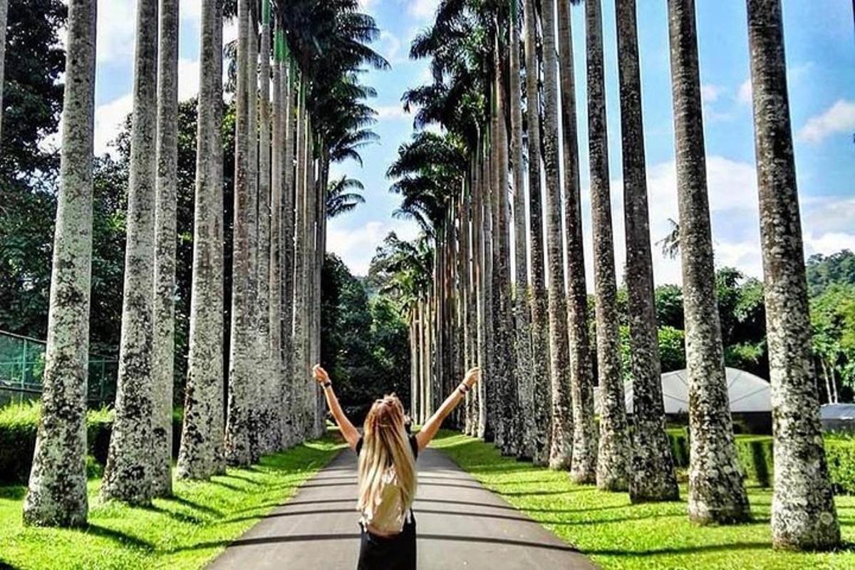 una donna che cammina attraverso una fila di palme