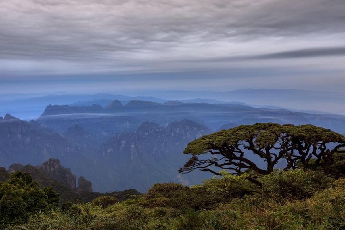 a tree on top of a hill with mountains in the background