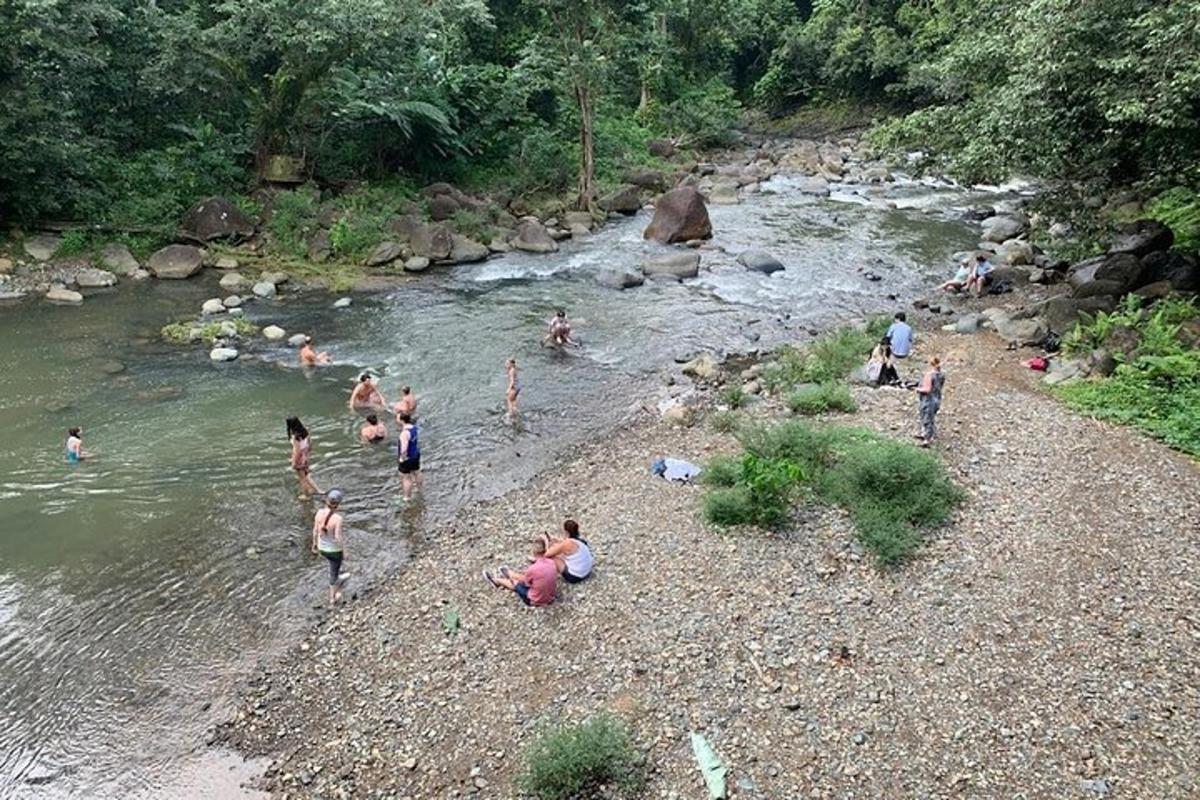 a group of people swimming in a river