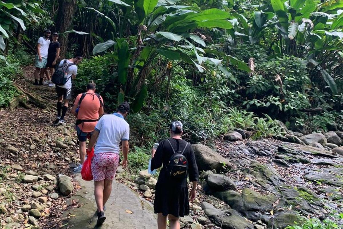 a group of people walking down a trail