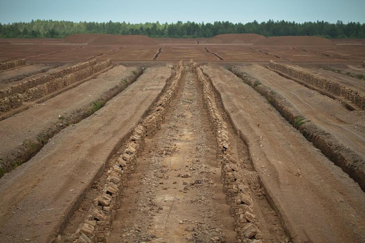 an empty field with rows of dirt roads