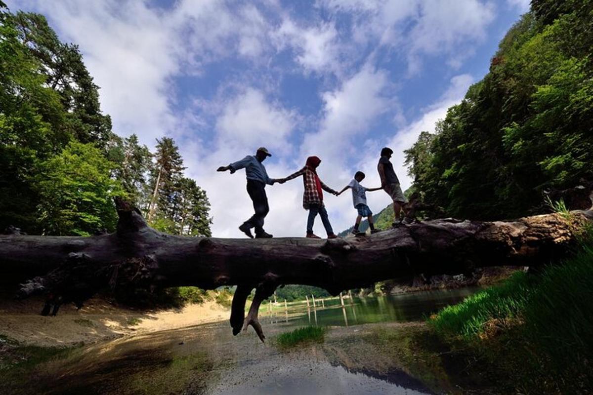 a group of people walking on a tree branch over water