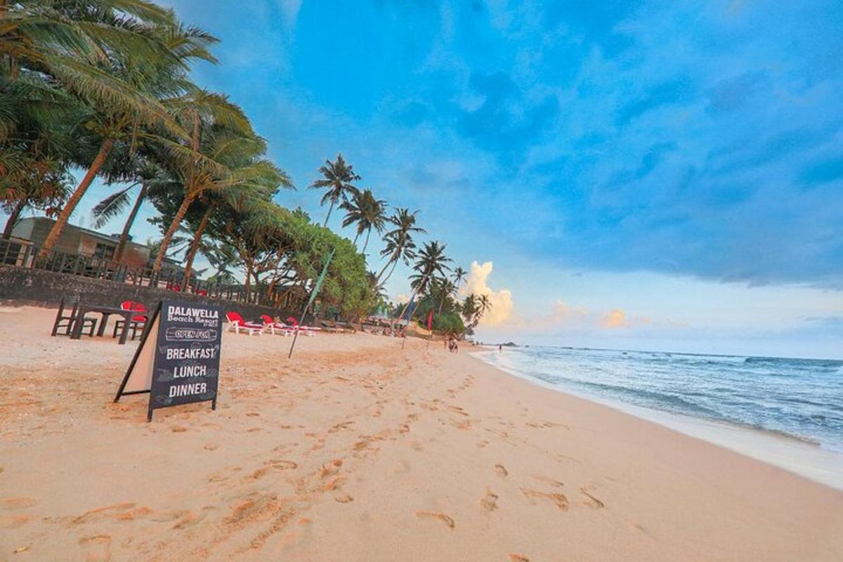 một biển báo trên bãi biển với cây cọ và đại dương
