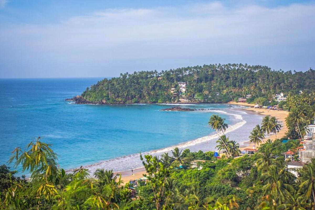 uma vista de uma praia com palmeiras e o oceano