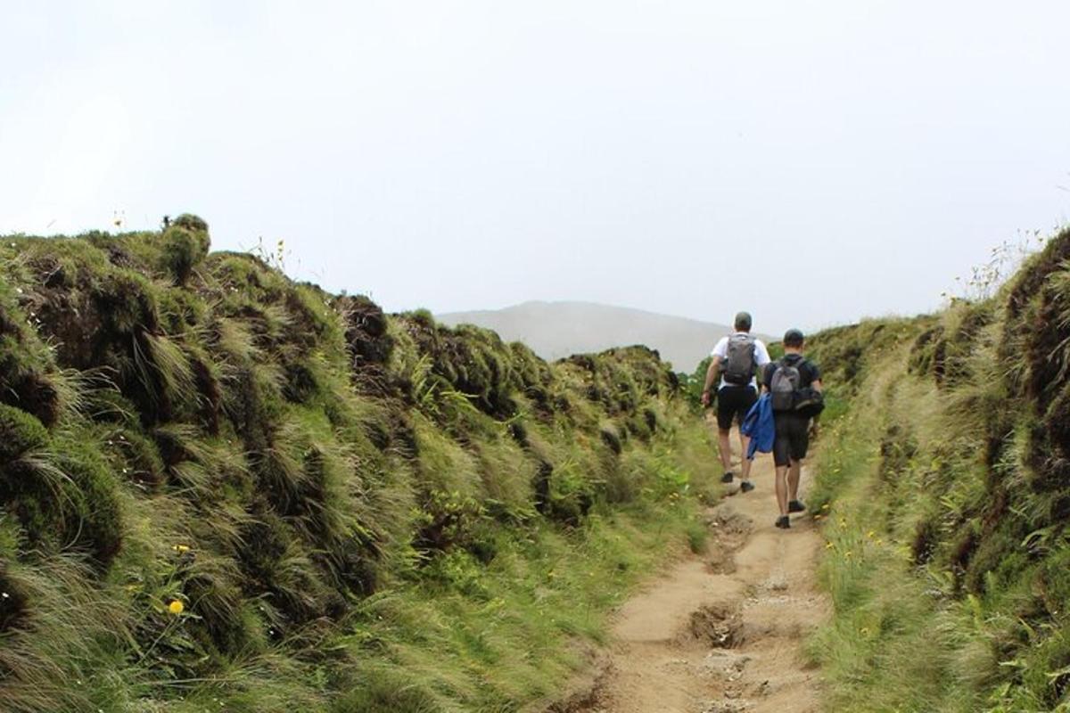 un gruppo di persone che camminano lungo un sentiero sterrato