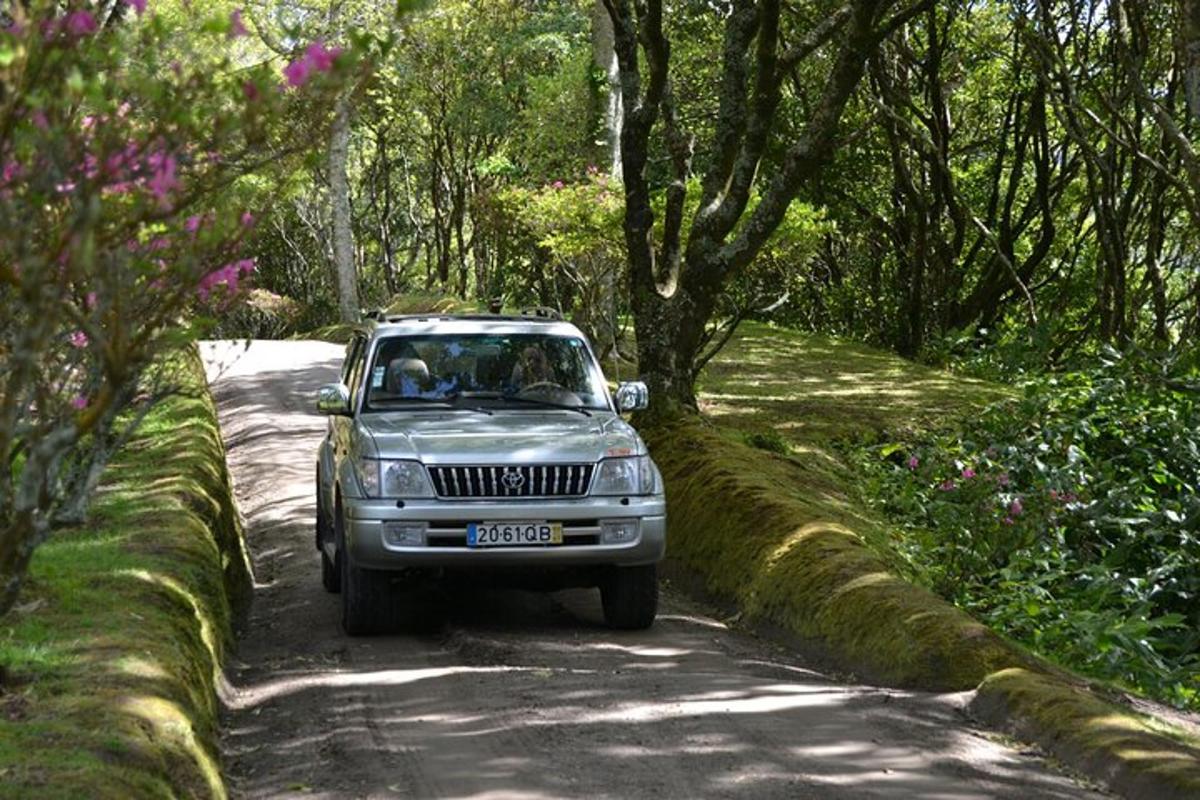 un'auto parcheggiata su una strada in un giardino