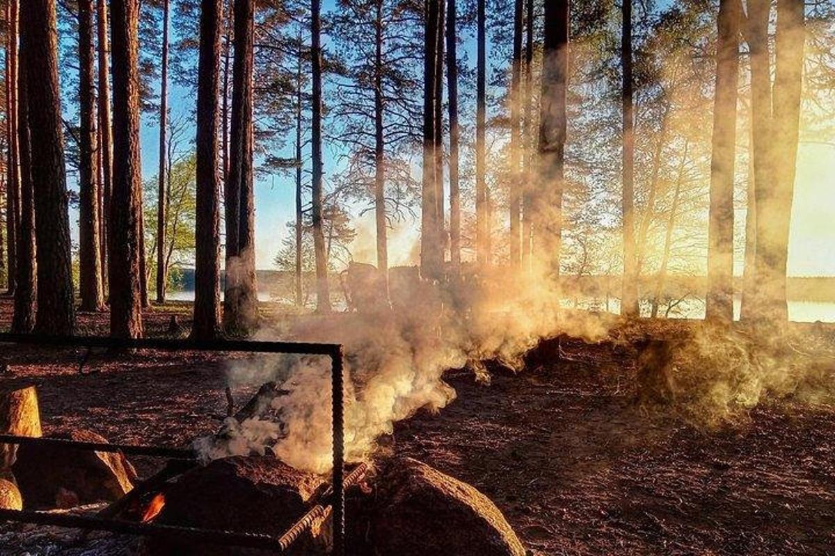 a fire is burning in a forest with trees