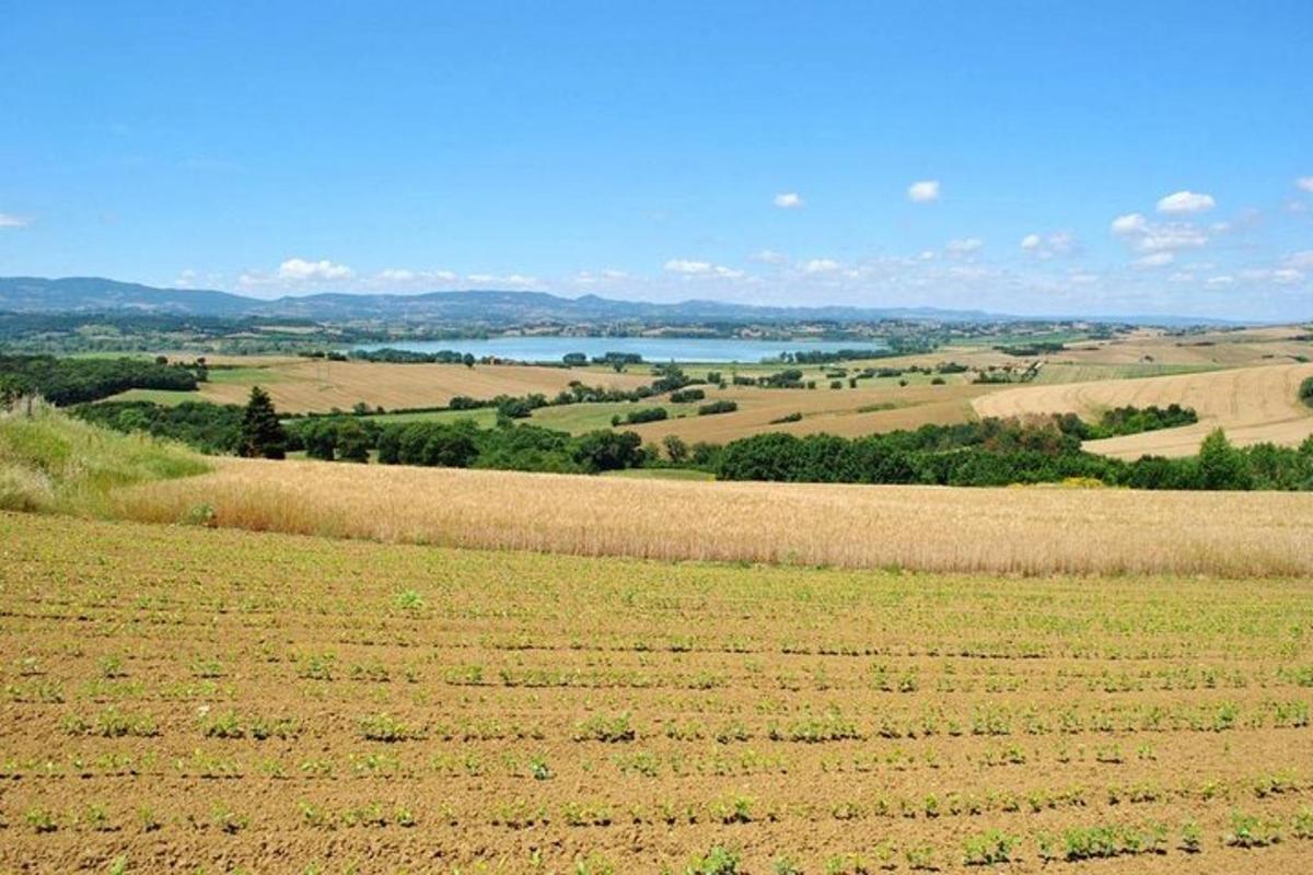 a large open field with a lake in the background