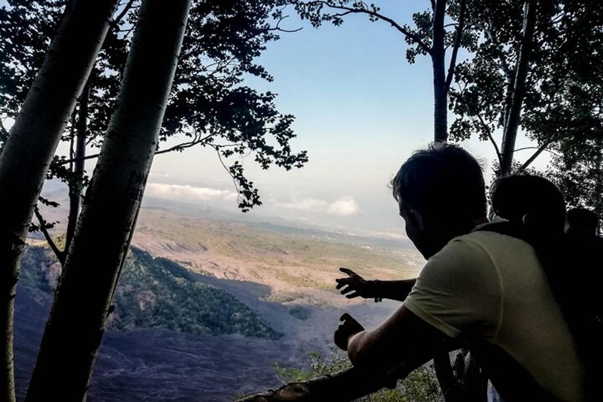 un uomo in piedi sulla cima di una montagna che indica il panorama