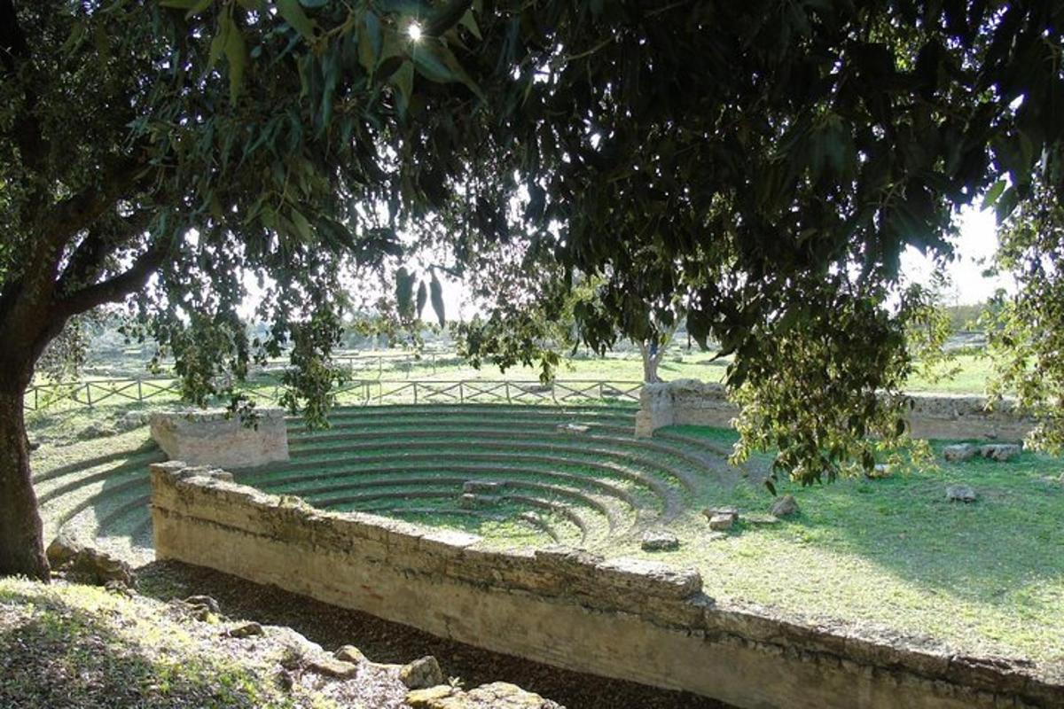 ένα πέτρινο αμφιθέατρο σε ένα πάρκο με ένα δέντρο