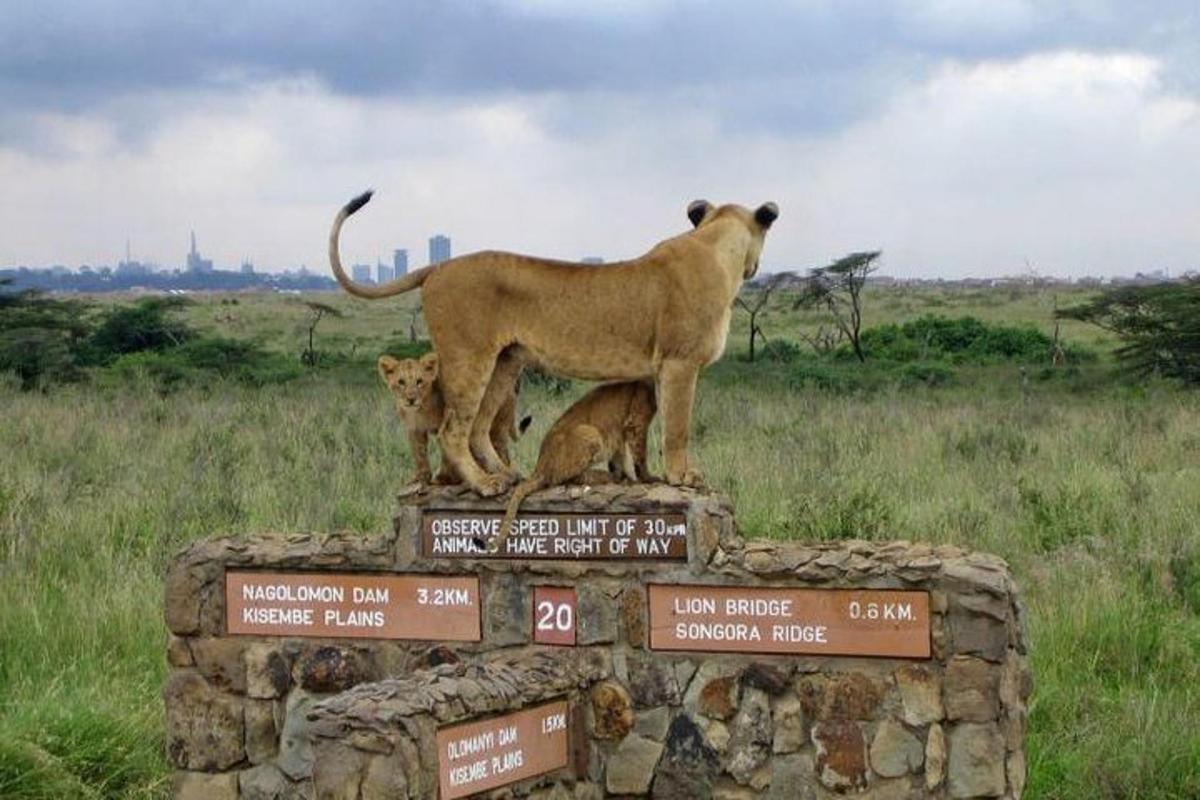 a statue of a lion and a lion cub on a sign