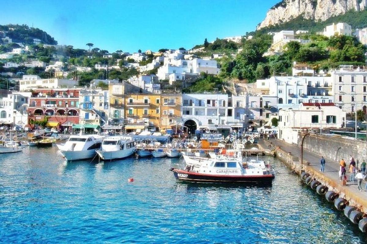Un grupo de barcos atracados en un puerto con edificios.