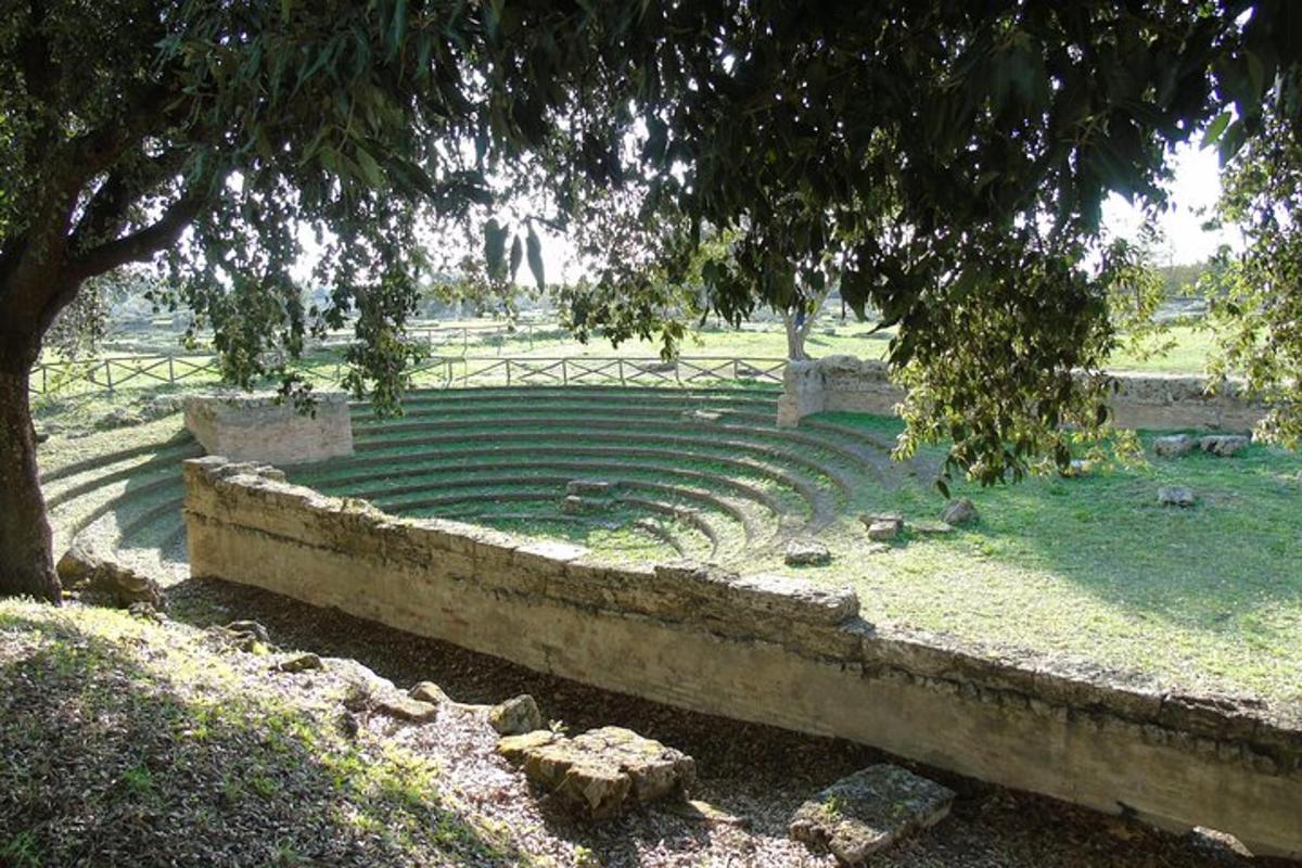 amfiteater luar di taman dengan pokok