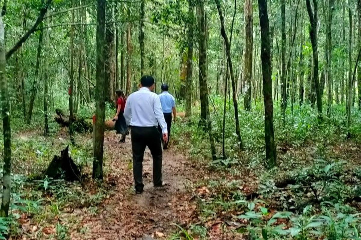 three people walking down a trail in the woods