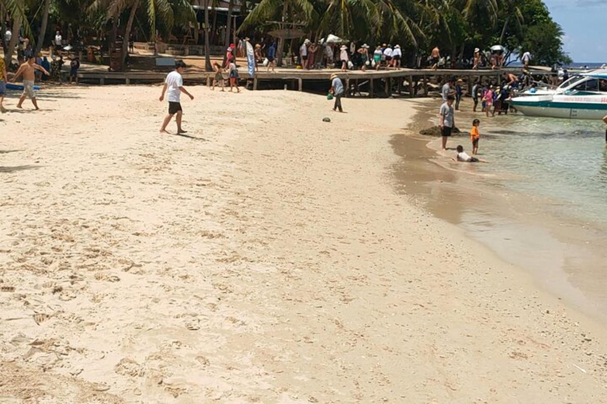 a group of people playing on the beach