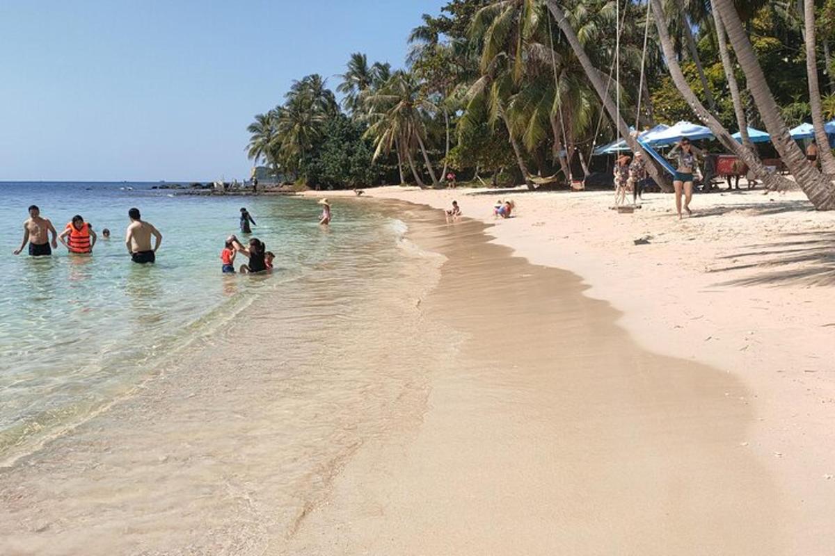a group of people in the water on a beach