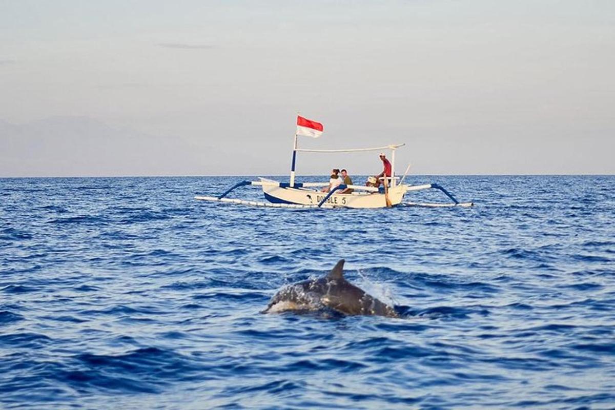 una balena nedant a l'aigua al costat d'un vaixell
