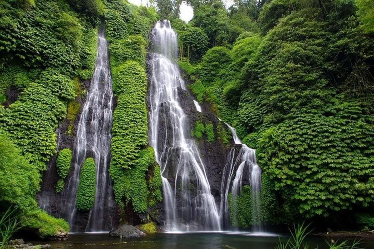 una cascada al mig d'un bosc